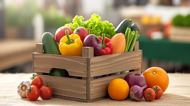 Kaolack Chamber of Commerce Launches Agricultural Fair to Boost Product Sales