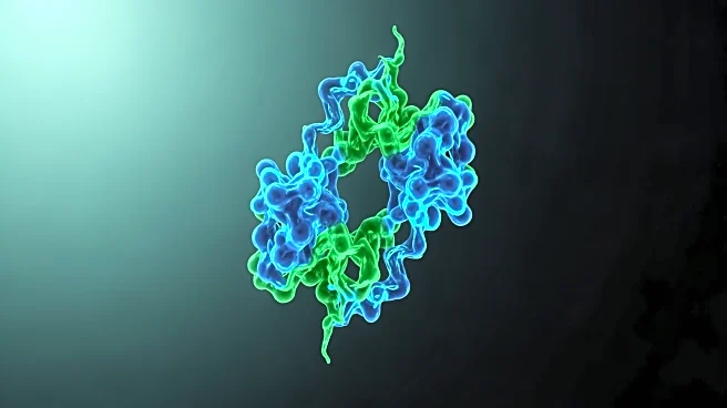FAM3A Protein Overexpression in Mice Shows Potential to Mitigate Insulin Resistance