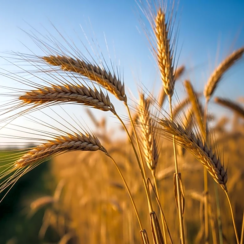 Bahrain Hosts Major Agricultural and Livestock Show to Boost Food Security