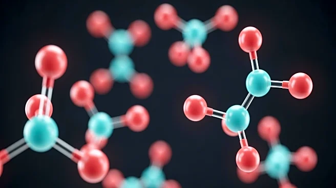 Harvard Study Identifies Metabolites for Potential Diabetes and Obesity Treatments