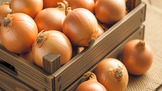 Bangladesh Government Approves Import of 1,500 Tonnes of Onions from India Amid Price Surge