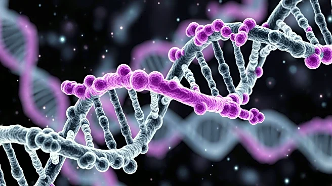 NSUN2's Role in Macrophage Polarization in Bladder Cancer Unveiled