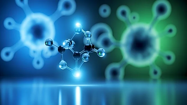 Advancements in Rare Blood Cancer Therapies Highlight Research Gaps and Future Directions