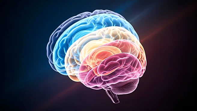 Study Reveals Five Distinct Phases of Human Brain Development