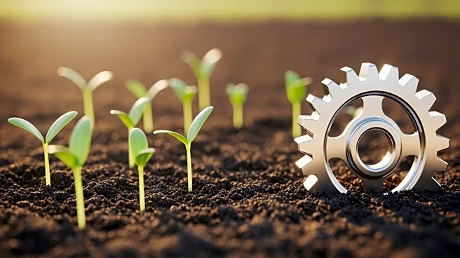 OCP and UNIDO Partner to Advance Agricultural and Industrial Development