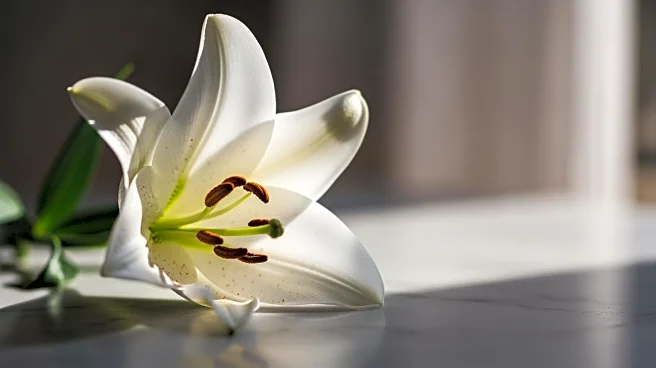 Woman's Misdiagnosed Pain Leads to Leukemia Discovery