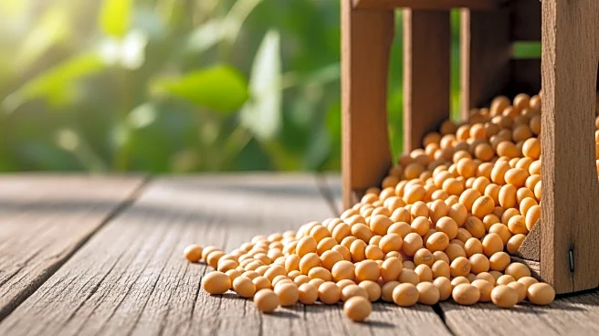 Treasury Secretary Scott Bessent Sells Soybean Farm to Comply with Ethics Agreement