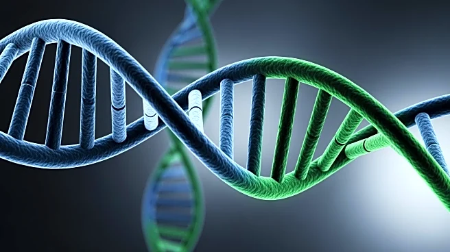 Study Highlights Prognostic Impact of ERBB2 Amplification in Metastatic Colorectal Cancer