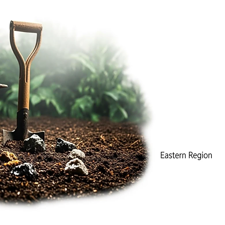 NAiMOS Intensifies Crackdown on Illegal Mining in Ghana's Eastern Region