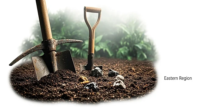 NAiMOS Intensifies Crackdown on Illegal Mining in Ghana's Eastern Region