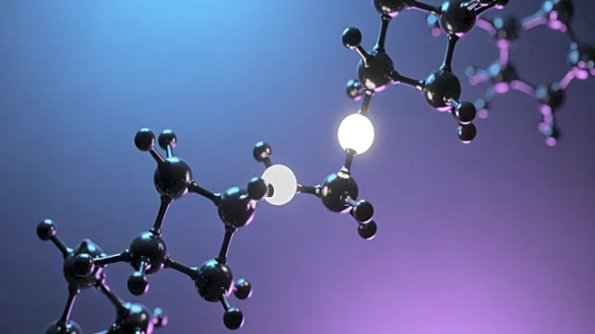 Study Finds B Cell Inhibition Enhances Cancer Immunotherapy Efficacy