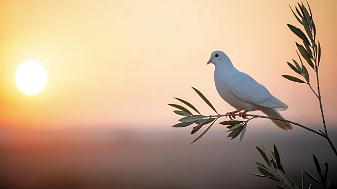 Mother of Last Israeli Hostage in Gaza Demands Release for Peace Progress