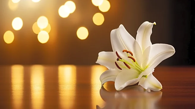 Nicole Lynn Allenbaugh's Life Celebrated After Passing at 32