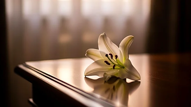 Tatiana Schlossberg, JFK's Granddaughter, Discloses Terminal Cancer Diagnosis