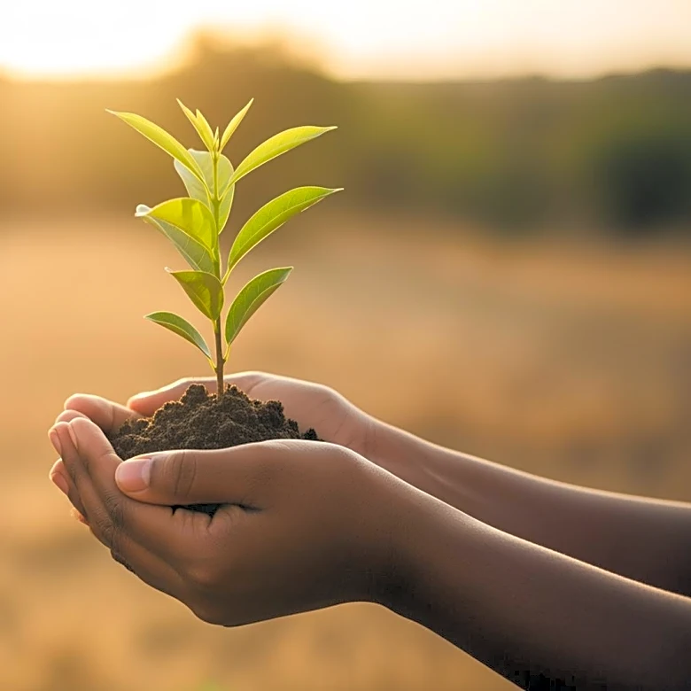 Schneider Electric Highlights Volunteer Impact in Africa During GivingTuesday Event