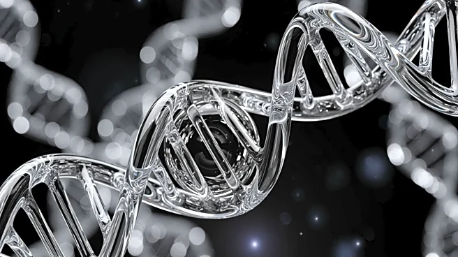 Scientists Achieve Detailed Imaging of DNA Droplets, Advancing Understanding of Chromatin Condensation