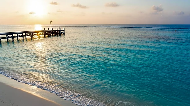 Florida Republicans Urge President Trump to Maintain Offshore Drilling Moratorium to Protect State's Economy