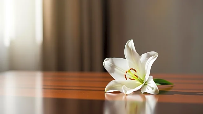 Renae Jane Starkey Passes Away at 61, No Funeral Services Planned