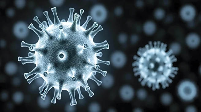 Childhood Virus BK Linked to Increased Bladder Cancer Risk in Adults