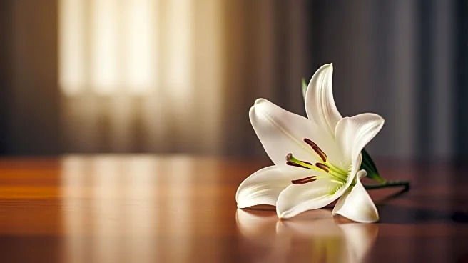 William A. Eveland Passes Away at 88, Private Services Planned