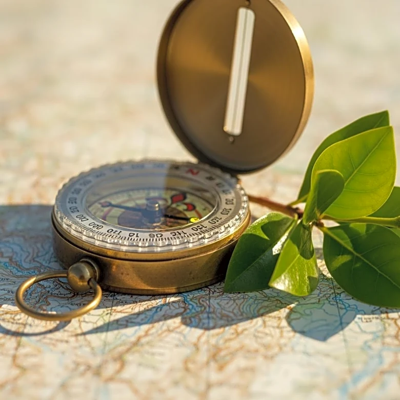 Proximal Cues Enhance Engagement in Climate Disaster Preparedness Messaging