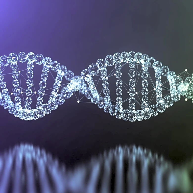 UCLA Researchers Develop Computational Tool to Analyze Genetic Interactions in Human Traits