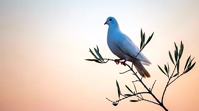 Mother of Last Israeli Hostage in Gaza: Peace Plan Hinges on His Return