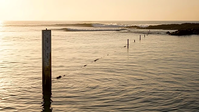 30-Year-Old Sea Level Rise Projection by IPCC Proven Accurate