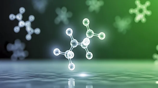 Researchers Identify Gut Microbe Metabolite as Key to Combating Insulin Resistance