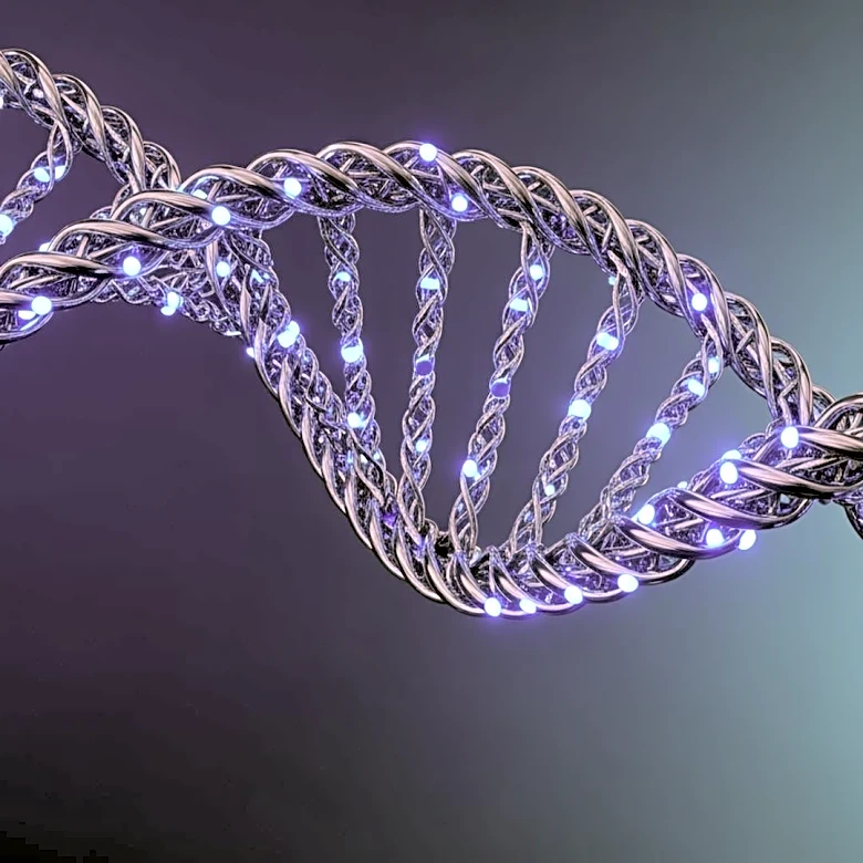 International Research Team Discovers DNA Tension-Sensing Enzyme ANKLE1