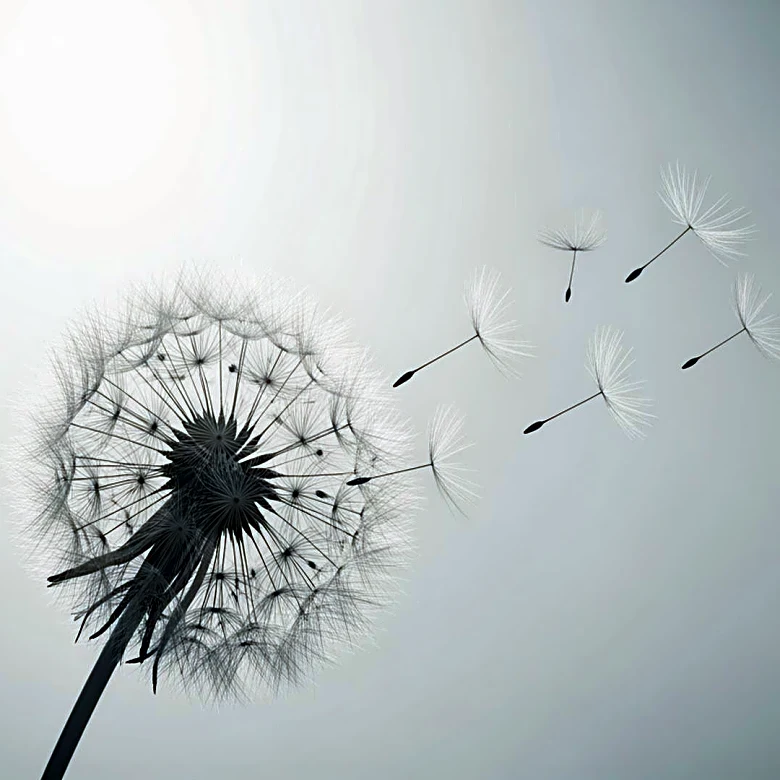 Study Links Parental Allergy and Early Infections to Increased Childhood Asthma Risk