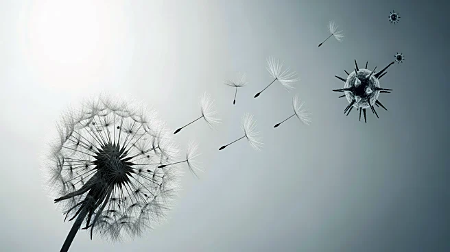 Study Links Parental Allergy and Early Infections to Increased Childhood Asthma Risk