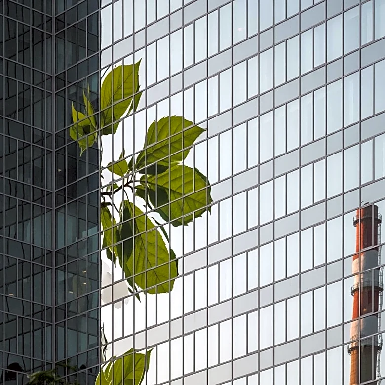 EU Agrees to Weaken Corporate Sustainability Laws Amid U.S. Pressure