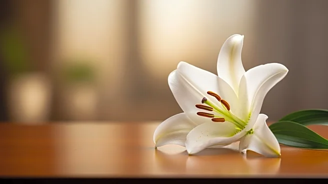 William A. Eveland Passes Away at 88, Services to be Private