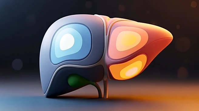 Study Reveals Impact of Liver Metabolic Zonation on Premalignant Cells