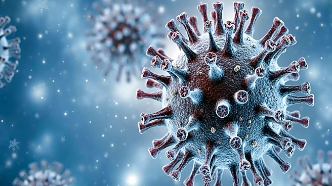 Mutated H3N2 Flu Virus Circulates, Prompting Vaccine Considerations for Winter