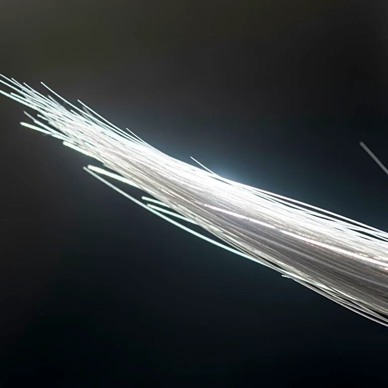 Study Suggests Graying Hair May Serve as Cancer Defense Mechanism