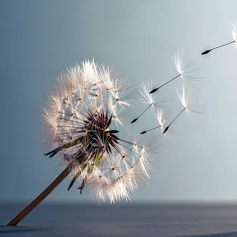 Study Reveals Parental Allergy and Early Life Infection Increase Asthma Risk in Children