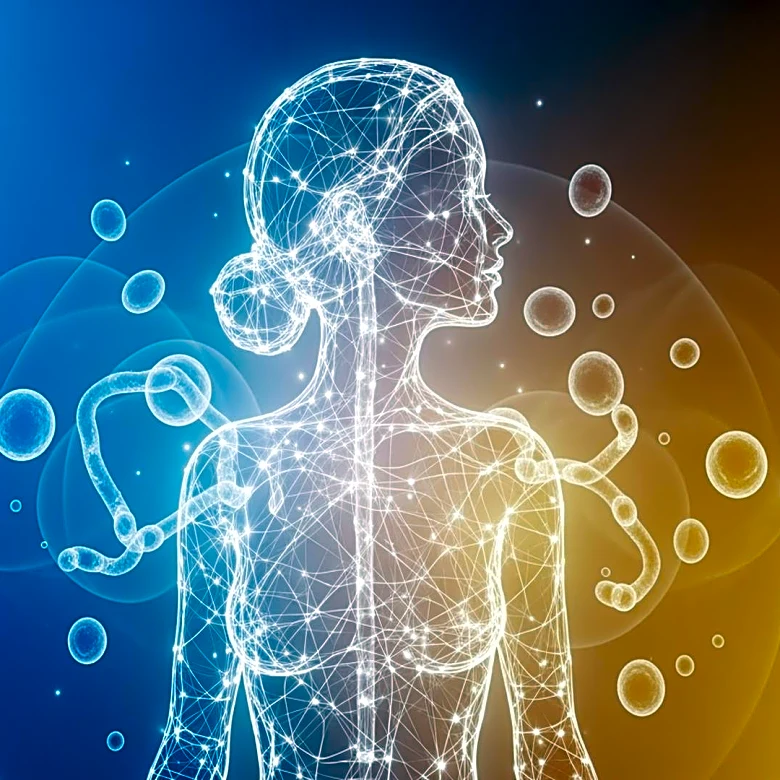 McGill University Study Links Childhood Adversity to Metabolic Disease Risk in Women