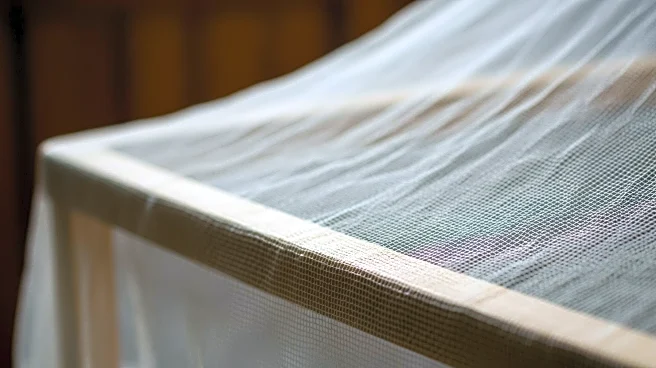 Nigeria Endorses Local Mosquito Net Production to Combat Malaria