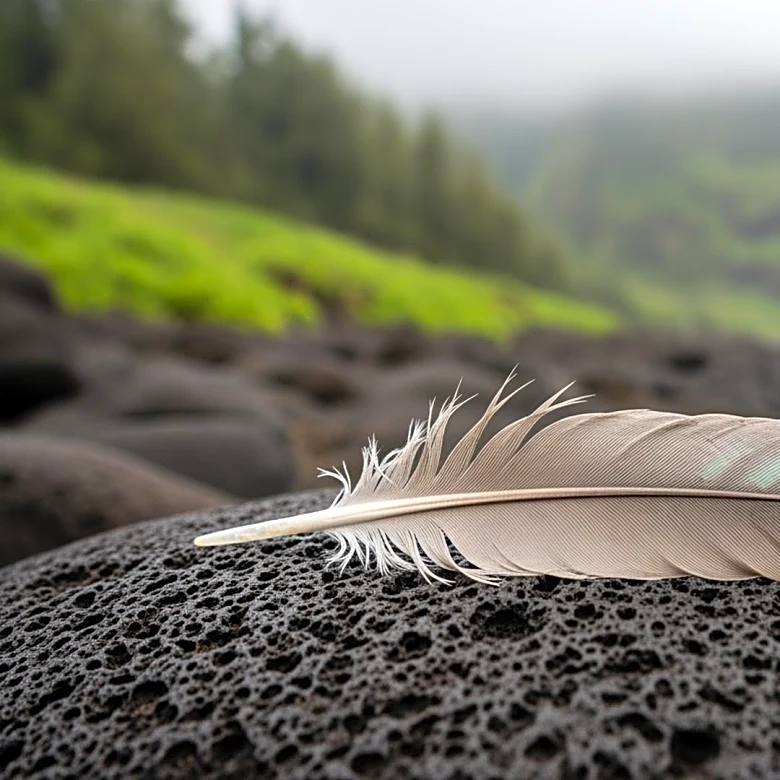 Research Reveals Extinct Rēkohu Shelduck's Evolution on Chatham Islands