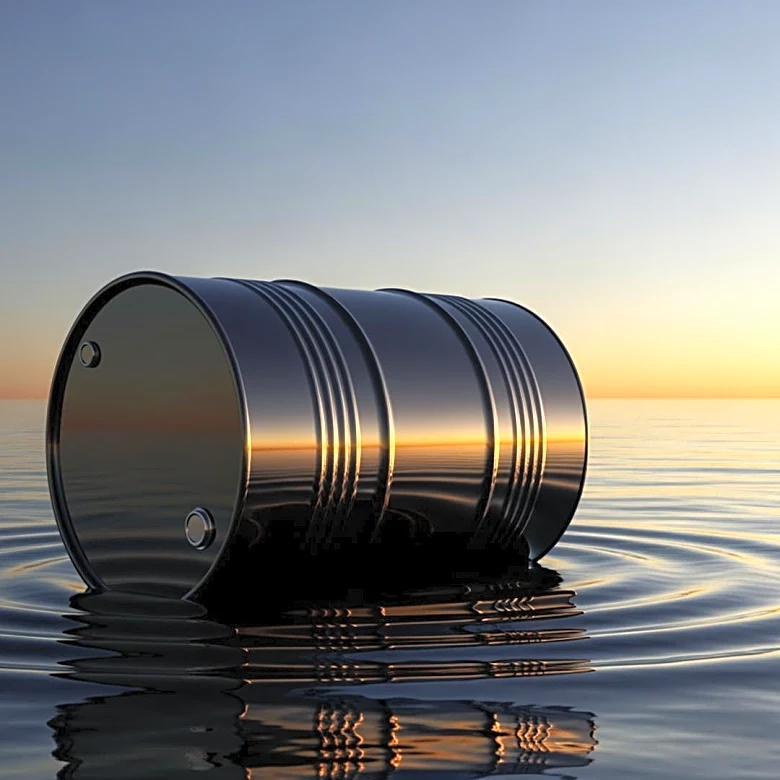 Shell Seeks Partner for Brazil's Gato do Mato Oil Project Amid Rising Costs