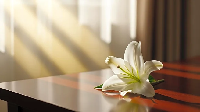 Obituary Announced for Mr. George Allen Westbrook, Funeral Scheduled