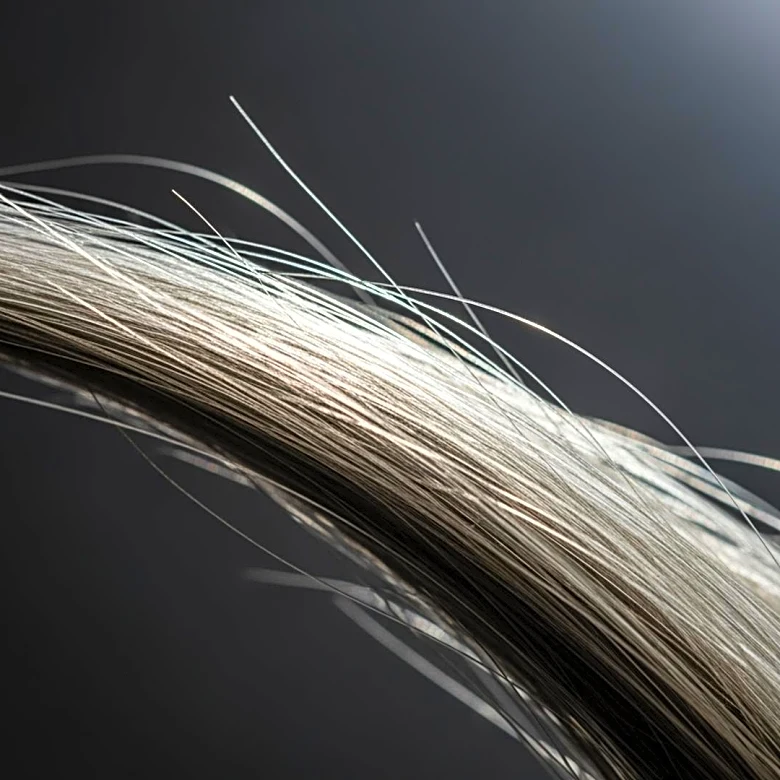 Study Suggests Gray Hair May Evolve as a Cancer Defense Mechanism