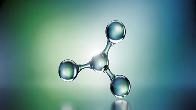 Study Reveals Gut Microbe Metabolite TMA's Role in Improving Blood Sugar Control