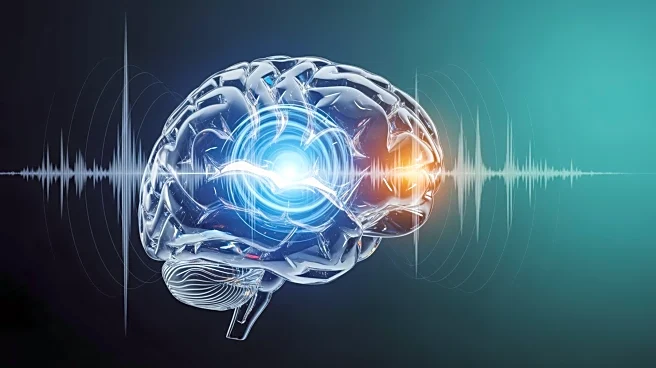 University of Geneva Study Reveals Human Brain's Unique Response to Chimpanzee Vocalizations