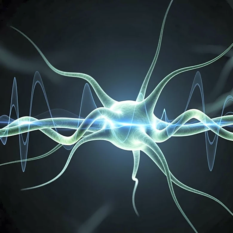 Experts Highlight Rising Parkinson's Disease Risk and Offer Prevention Tips