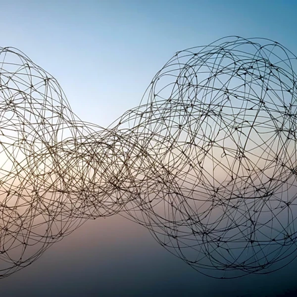 Nature Explores Social Isolation as a Complex Dynamical System