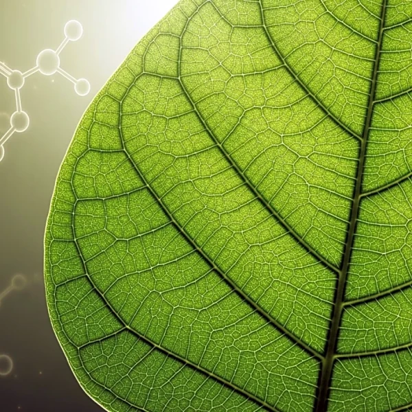 Nature Reviews 2025's Advances and Challenges in Cancer Research