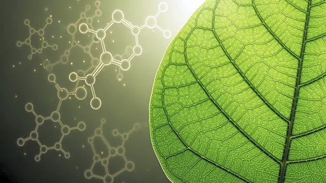 Nature Reviews 2025's Advances and Challenges in Cancer Research